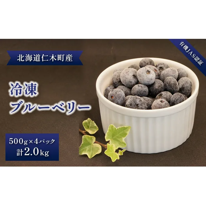 【有機JAS認証】北海道仁木町産オーガニック冷凍ブルーベリー 500g×4パック　計2.0kg