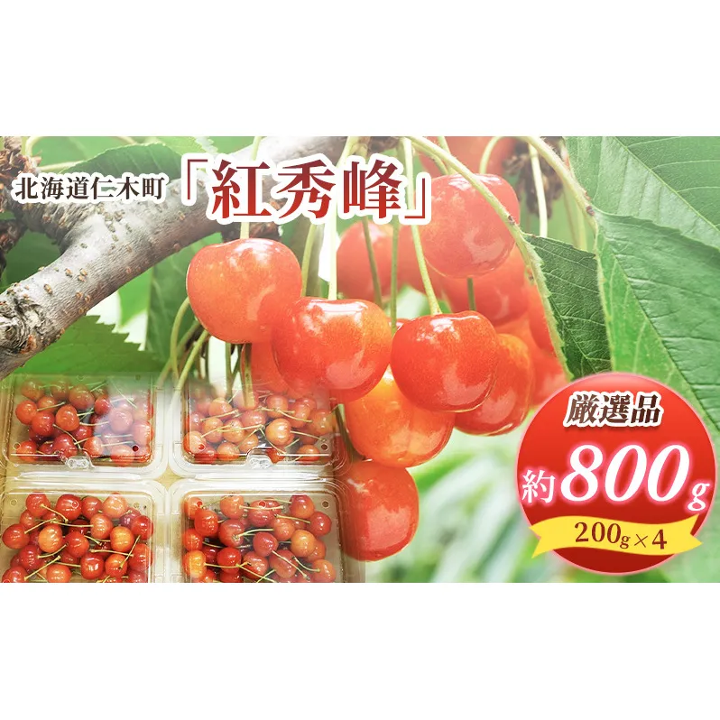 北海道 仁木町産 サクランボ 紅秀峰 800g 厳選品  松山商店