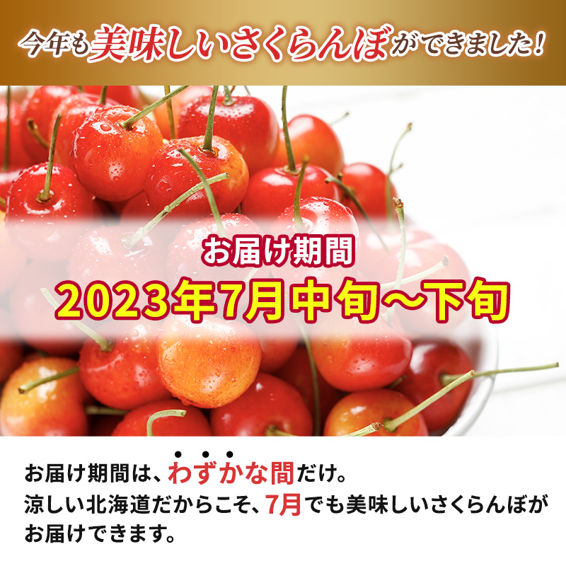 先行受付 2024年7月から出荷 北海道 仁木町産 サクランボ 紅秀峰 1.2kg