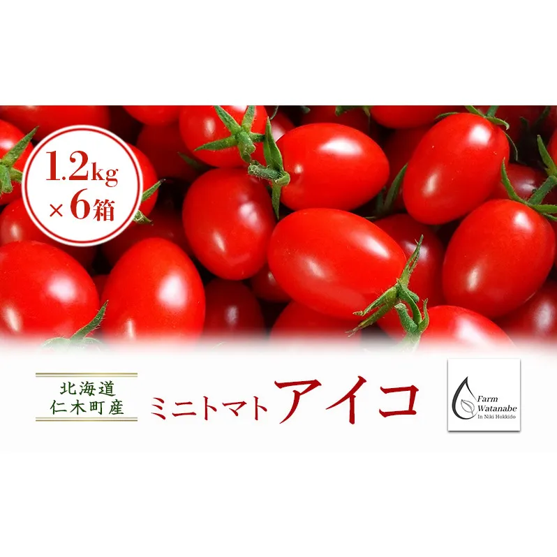 北海道仁木町産ミニトマト【アイコ】1.2kg×6箱［栽培期間中 農薬不使用］