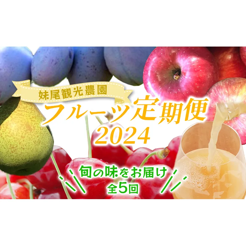 妹尾農園のフルーツ定期便2024［全5回］ 北海道 仁木 さくらんぼ プルーン 梨 りんご