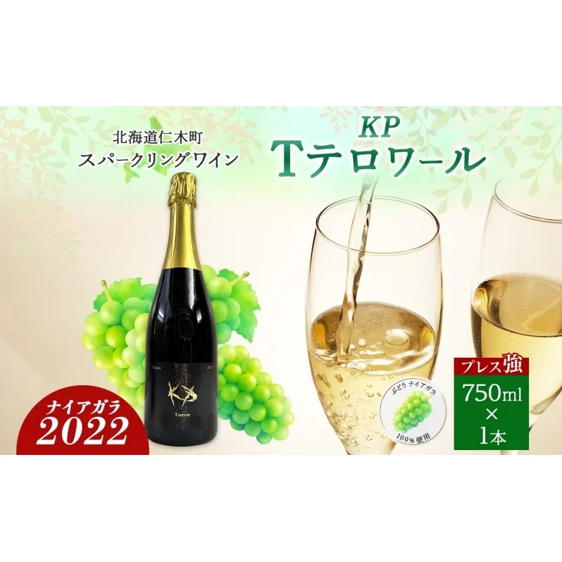 北海道産 スパークリング ワイン 750ml 1本 KPワイン Tテロワール ぶどう ナイアガラ 葡萄 ブドウ 白ワイン 辛口 酒 お酒 贈答 贈り物 お祝い ギフト 記念日 送料無料