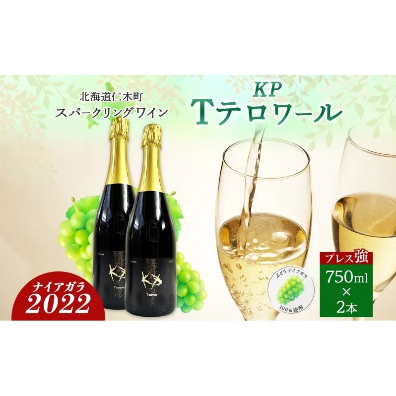 北海道産 スパークリング ワイン 750ml 2本 KPワイン Tテロワール ぶどう ナイアガラ 葡萄 ブドウ 白ワイン 辛口 酒 お酒 贈答 贈り物 お祝い ギフト 記念日 送料無料