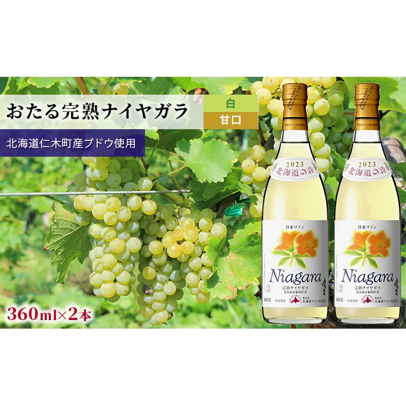 白ワインminiボトル360ml×2本「おたる完熟ナイヤガラ」（白/甘口） 北海道 仁木町［JA新おたる］【 ブドウ ぶどう グレープ お酒 ワイン 白 甘口 フルーツ 】