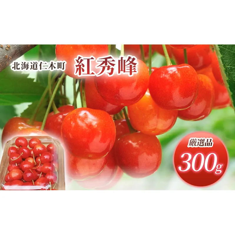 [先行受付] 北海道 仁木町産 サクランボ 紅秀峰 300g 厳選品  松山商店