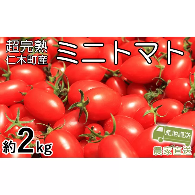 超完熟ミニトマト【アイコ】お試し2kg（1kg×2箱）