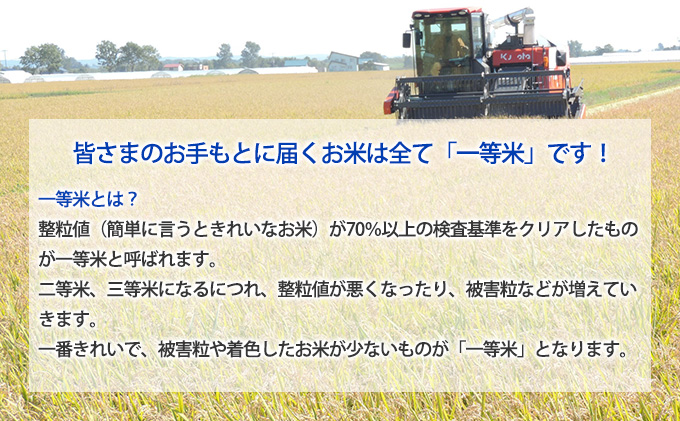 北海道 定期便 隔月6回 令和5年産 ななつぼし 無洗米 5kg×2袋 特A 米