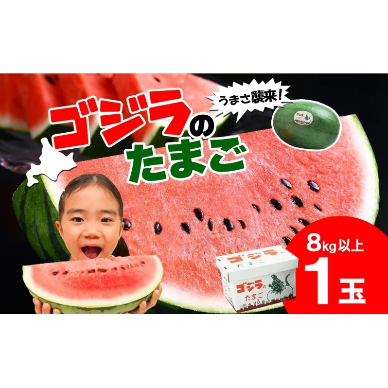 北海道 大玉 スイカ ゴジラのたまご 1玉 約8kg すいか 西瓜 果物 フルーツ 旬 希少 貴重 甘い ユニーク 国産 産地直送 ギフト お祝い 贈答品 贈り物 お取り寄せ エーコープつきがた 送料無料 月形