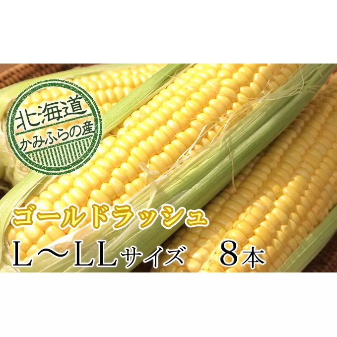 朝採りとうもろこし【ゴールドラッシュ】L～LL 8本セット≪北海道上富良野町産≫