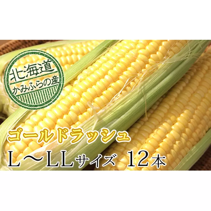 朝採りとうもろこし【ゴールドラッシュ】L～LL 10本セット≪北海道上富良野町産≫