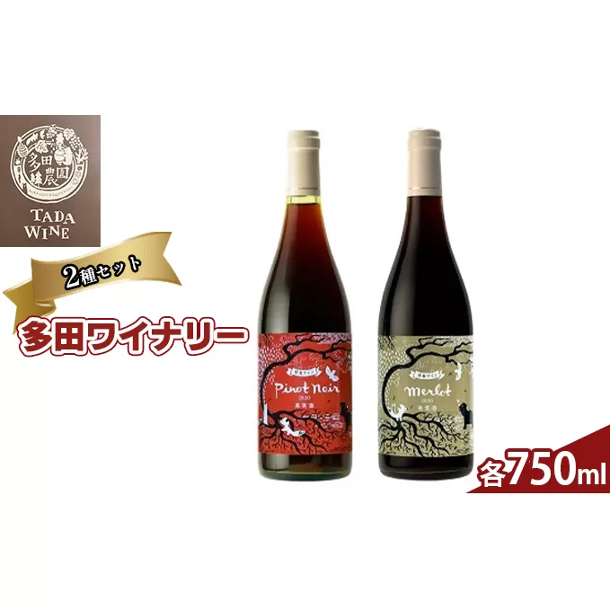 野生酵母 赤ワイン 2本セット