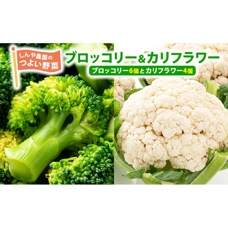 しんや農園の つよい野菜「ブロッコリー＆カリフラワー」