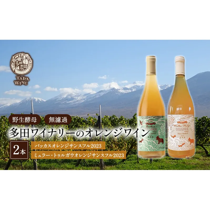 【酸化防止剤無添加 野生酵母 無濾過】オレンジワイン 2本 多田ワイナリー 北海道 上富良野町 ワイン 果実酒