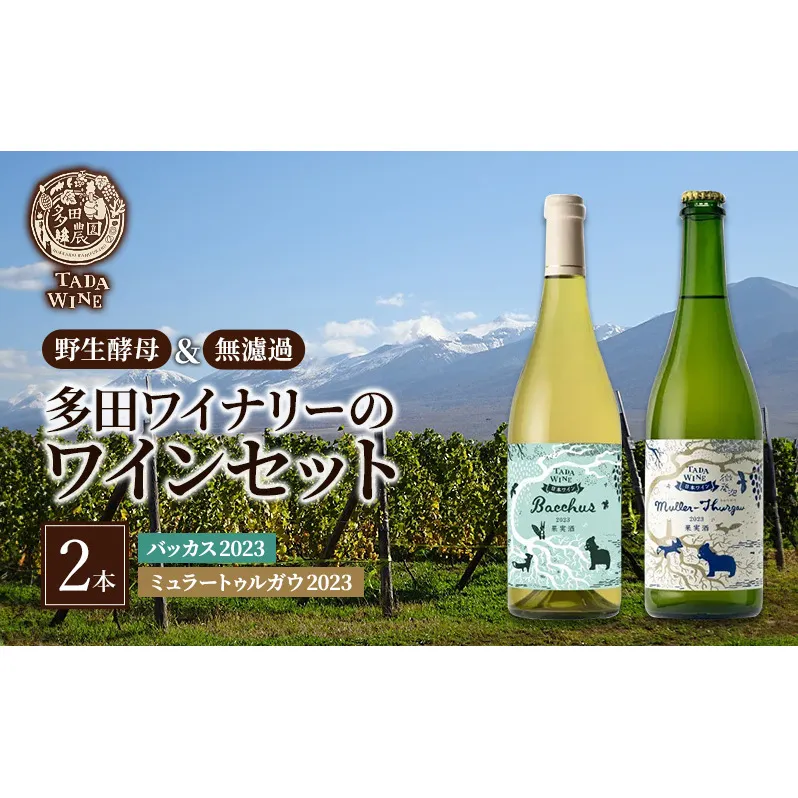 ワイン 【野生酵母】フルーティな白ワイン2本セット●上富良野の多田ワイナリー 白ワイン セット 酒 お酒 アルコール