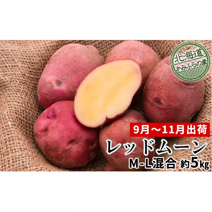 じゃがいも【レッドムーン】約5kg（M～L混合）≪北海道上富良野産≫