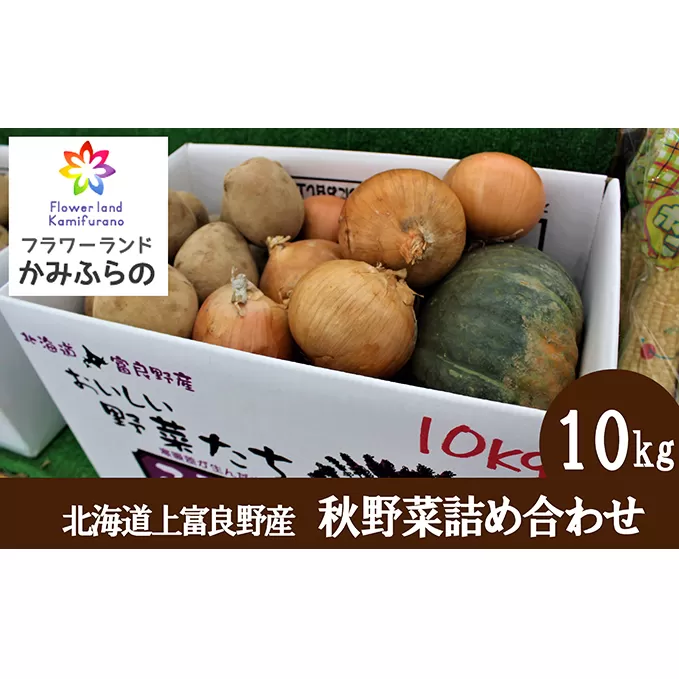 【北海道上富良野町産】秋野菜詰め合わせ10kg							
