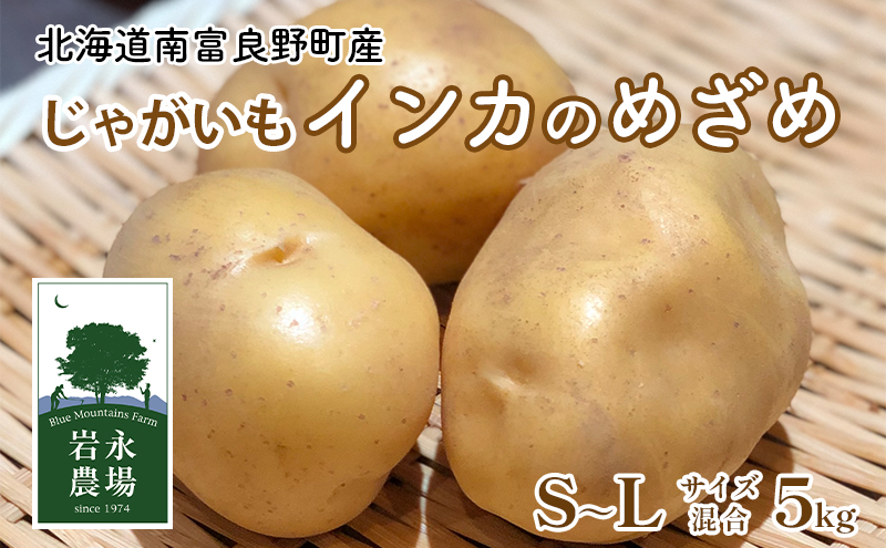 2025秋～発送】 北海道 南富良野町 じゃがいも「インカのめざめ」 5kg(S～Lサイズ混合) じゃがいも ジャガイモ いんか インカ 野菜  やさい｜南富良野町｜北海道｜返礼品をさがす｜まいふる by AEON CARD