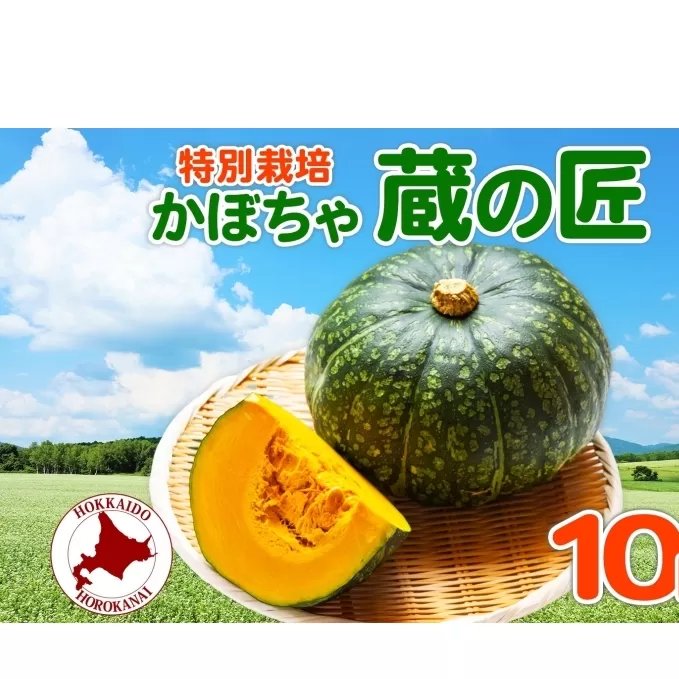  ＜2024年秋以降出荷＞ 北海道 かぼちゃ 蔵の匠 6個～8個 約10kg カボチャ 南瓜 パンプキン 旬 野菜 根菜 農作物 緑黄色野菜 北海道産 国産 人気 お取り寄せ 産地直送 北海道産