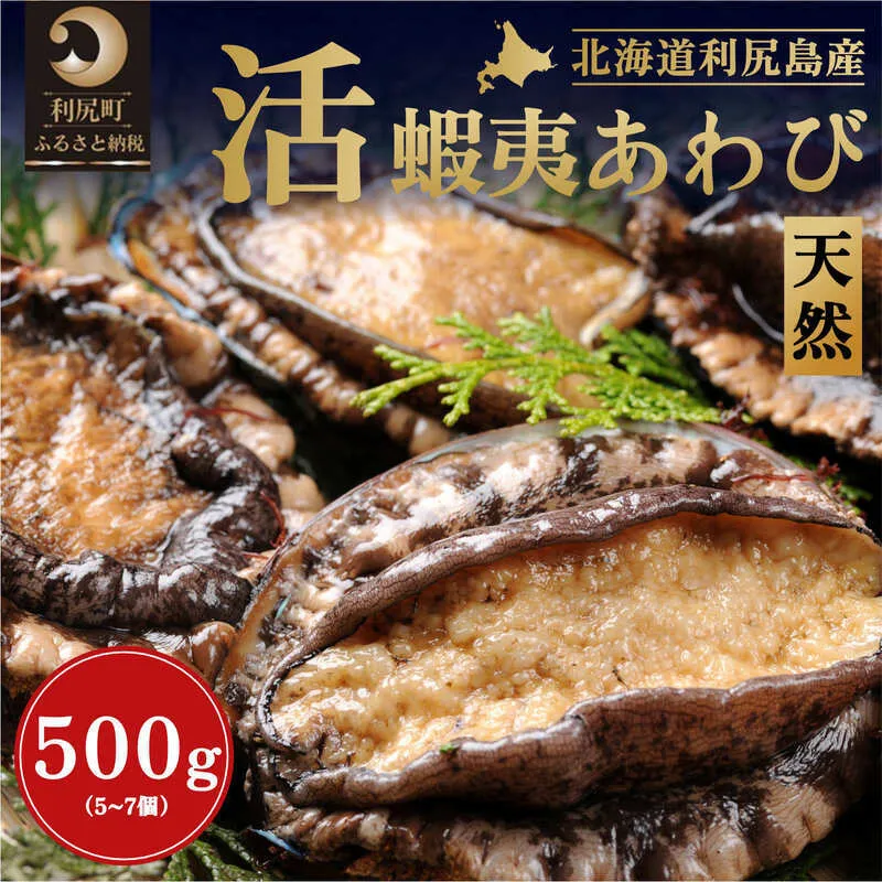 北海道利尻島産 天然〈活〉蝦夷アワビ500g（5～7個）【10月下旬～12月下旬発送】