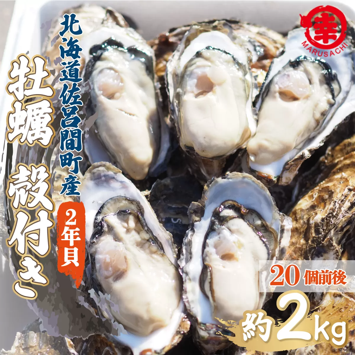 【先行予約】カキ 殻付き 2年貝 約2kg（20個前後） 佐呂間産（2024年10月中旬より発送） SRMA012