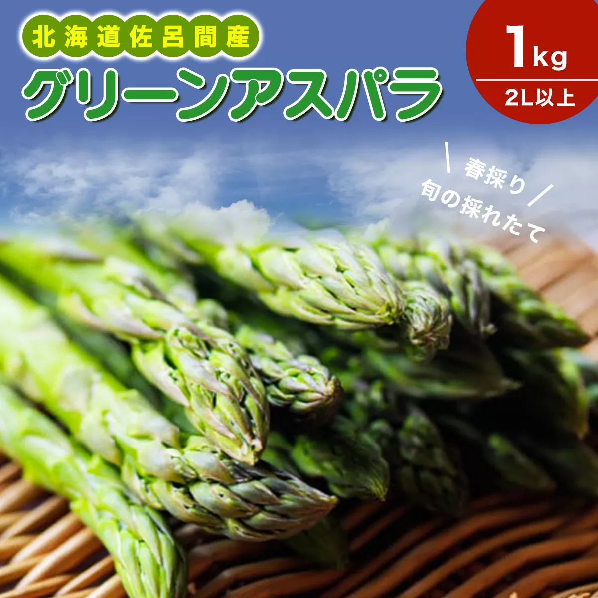 【春採り】 グリーンアスパラ 1kg（2L以上）旬の採れたて 北海道 佐呂間産（2025年4月出荷開始先行予約） SRMM033