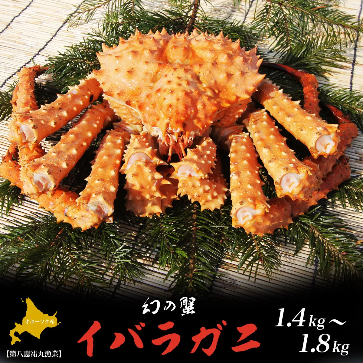 オホーツク産 幻の蟹 イバラガニ 1.4〜1.8kg SRMN010