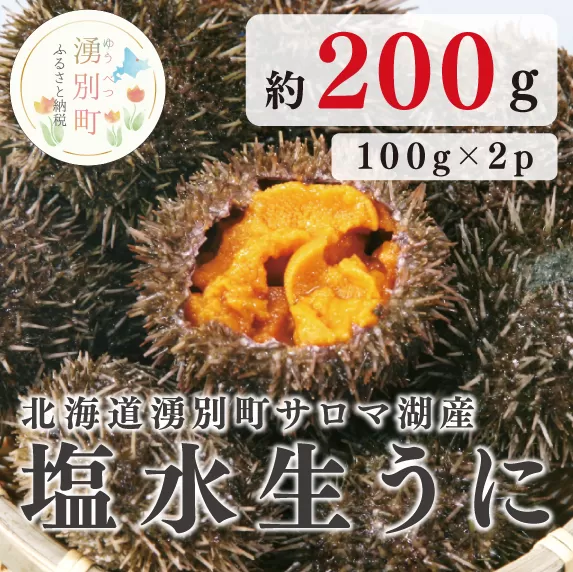 北海道湧別町サロマ湖産　塩水生うに100g×2