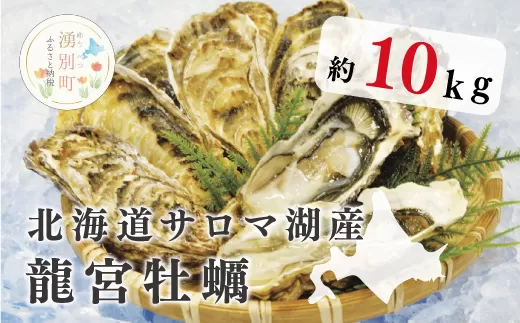 【国内消費拡大求む】北海道サロマ湖産 龍宮牡蠣10kg（2年物殻付きカキ）カキナイフ付　かき　海鮮　魚貝　国産　貝付き　生牡蠣　生食　焼き牡蠣　蒸し牡蠣　冷蔵　産地直送　サロマ湖　オホーツク　北海道　湧別