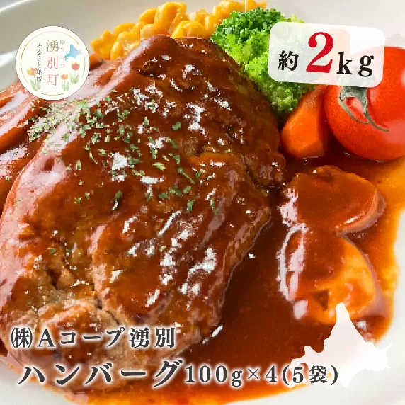 北海道産　ゆうべつ牛　ハンバーグ２０個（４個入り×５パック）お肉　ハンバーグ　加工食品　湧別牛　焼くだけ　国産　オホーツク　北海道　湧別町