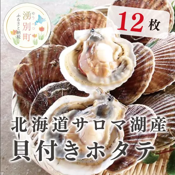 【国内消費拡大求む】≪2024年11月から発送≫北海道サロマ湖産　貝付きホタテ12枚