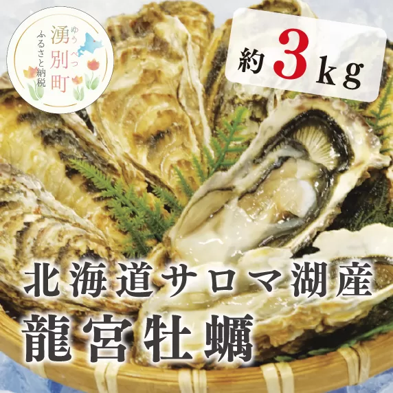 【国内消費拡大求む】北海道サロマ湖産　龍宮牡蠣3kg（2年物殻付きカキ）カキナイフ付　かき　海鮮　魚貝　国産　生食　剥き身　生牡蠣　殻付き　焼き牡蠣　蒸し牡蠣　冷蔵　産地直送　サロマ湖　オホーツク　北海道　湧別町