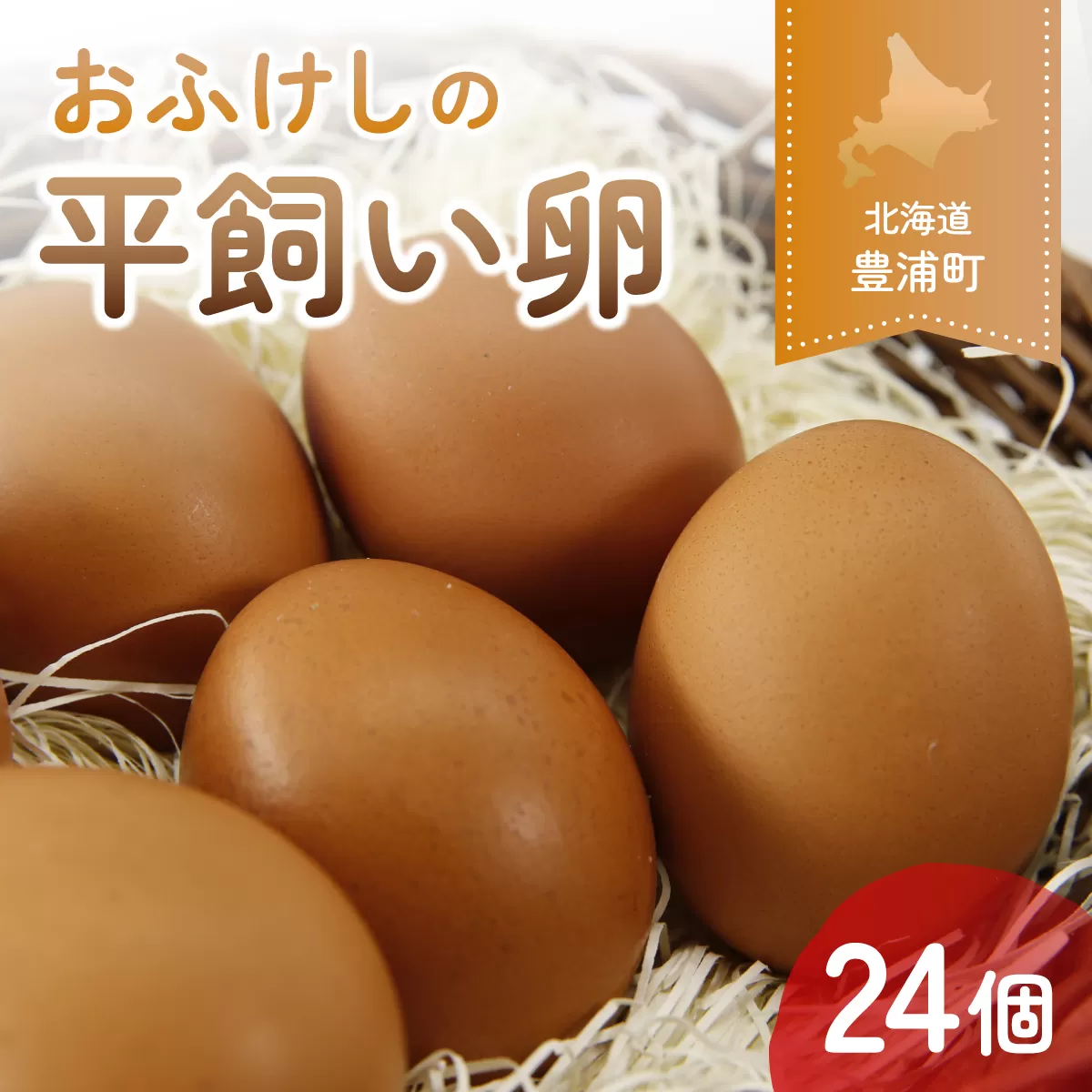 北海道 豊浦 おふけしの平飼い卵 24個 TYUZ001