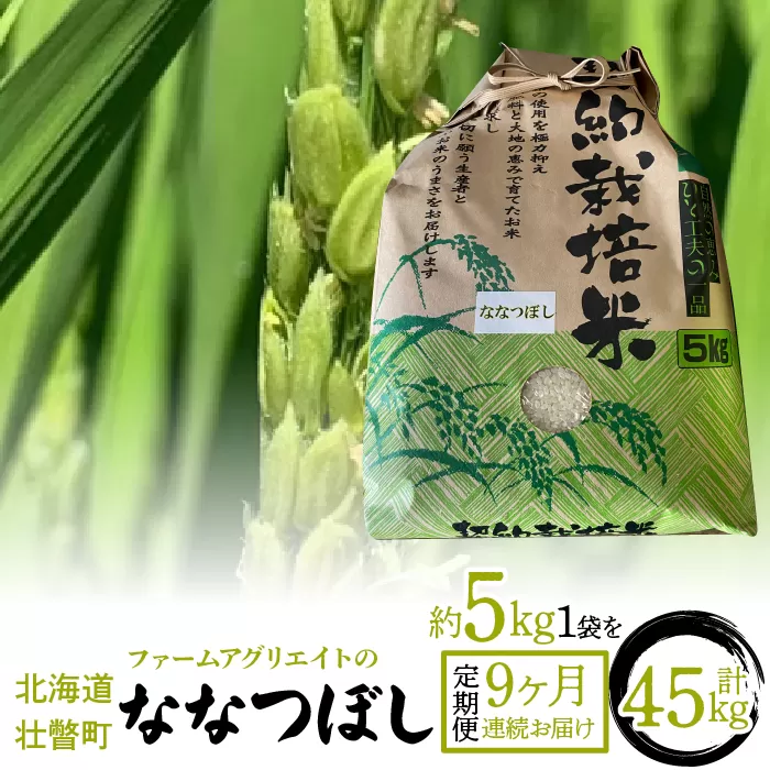 【新米】令和6年産米 ファームアグリエイトのななつぼし　約5kg×1袋を9ヶ月連続お届け SBTB004