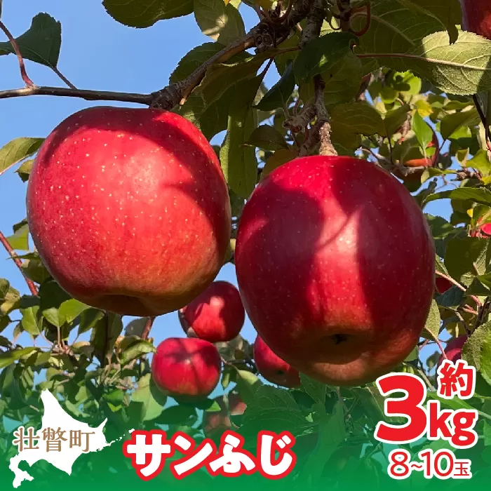 ＜2024年12月上旬よりお届け＞北海道壮瞥町　りんご　品種名「サンふじ」8〜10玉約3kg SBTF006