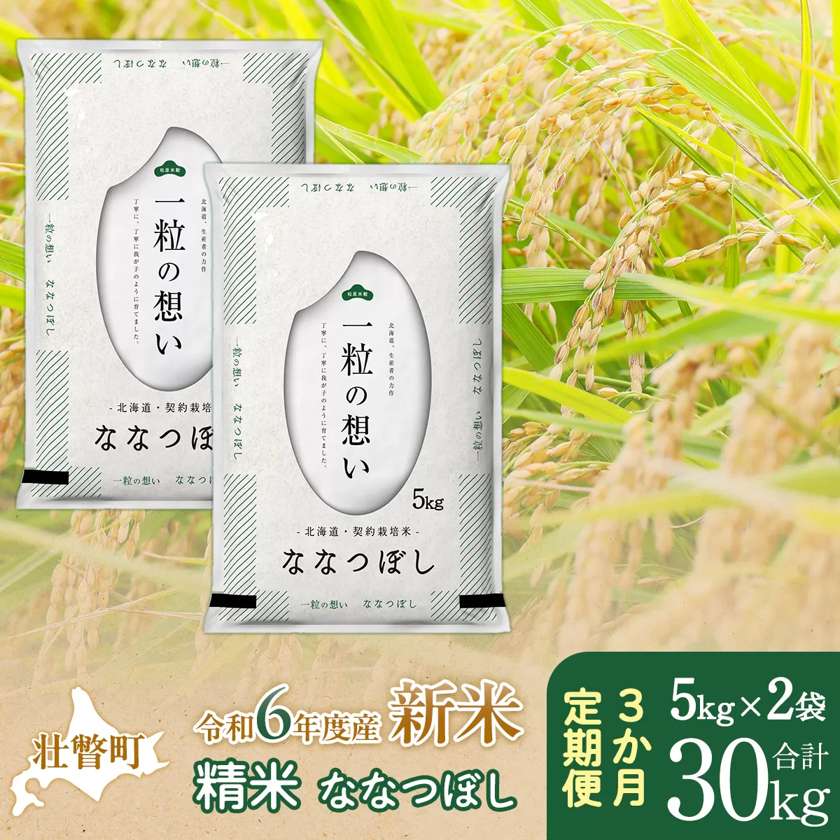 【新米】【令和6年産米】北海道壮瞥産 ななつぼし 計30kg（5kg×2袋 3ヵ月定期配送） SBTE038