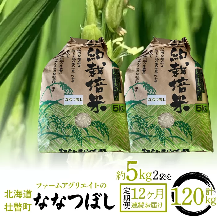 【新米】令和6年産米 ファームアグリエイトのななつぼし　約5kg×2袋を12ヶ月連続お届け SBTB009