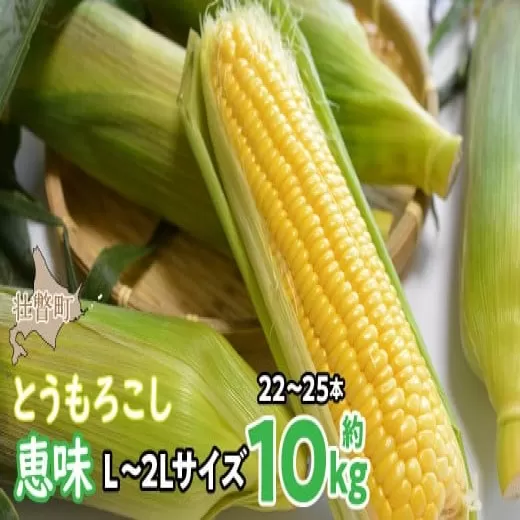 ＜2025年8月初旬よりお届け＞約10kg！北海道壮瞥産とうもろこし（恵味）【Ｌ〜2Lサイズ 22〜25本】 SBTP006