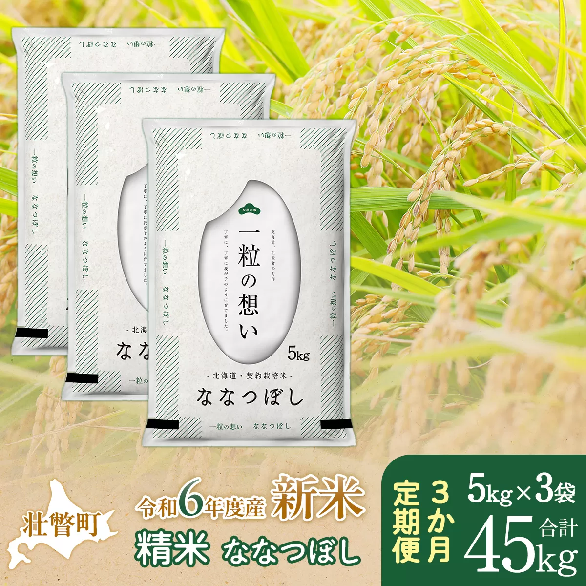 【新米】【令和6年産米】北海道壮瞥産 ななつぼし 計45kg（5kg×3袋 3ヵ月定期配送） SBTE057