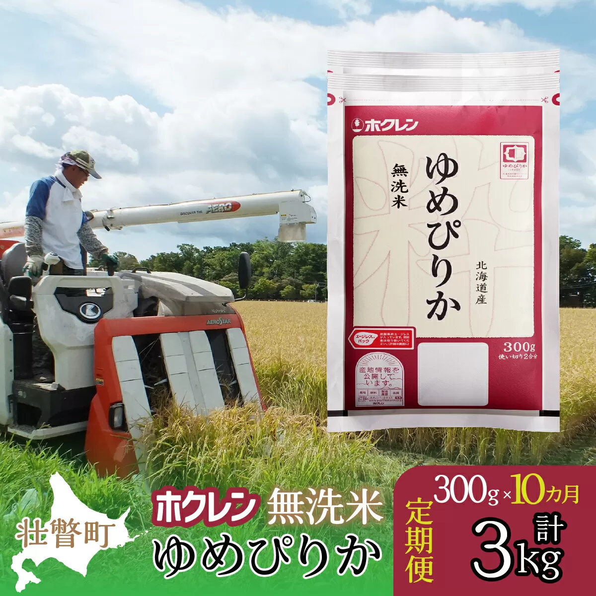 【新米】【令和6年産米】【10ヶ月定期配送】（無洗米300g）ホクレンゆめぴりか SBTD151