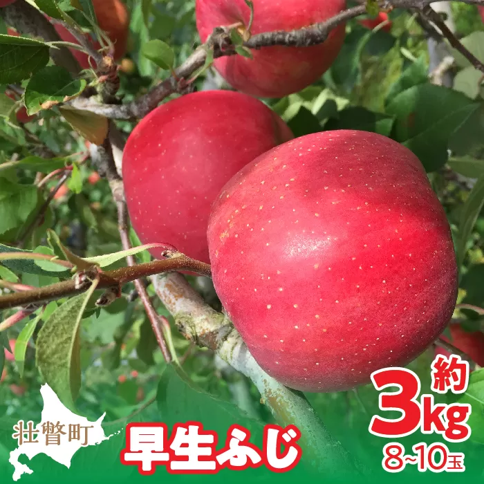 ＜2024年10月中旬よりお届け＞ 北海道壮瞥町 りんご 品種名「早生ふじ」8〜10玉約3kg SBTF002