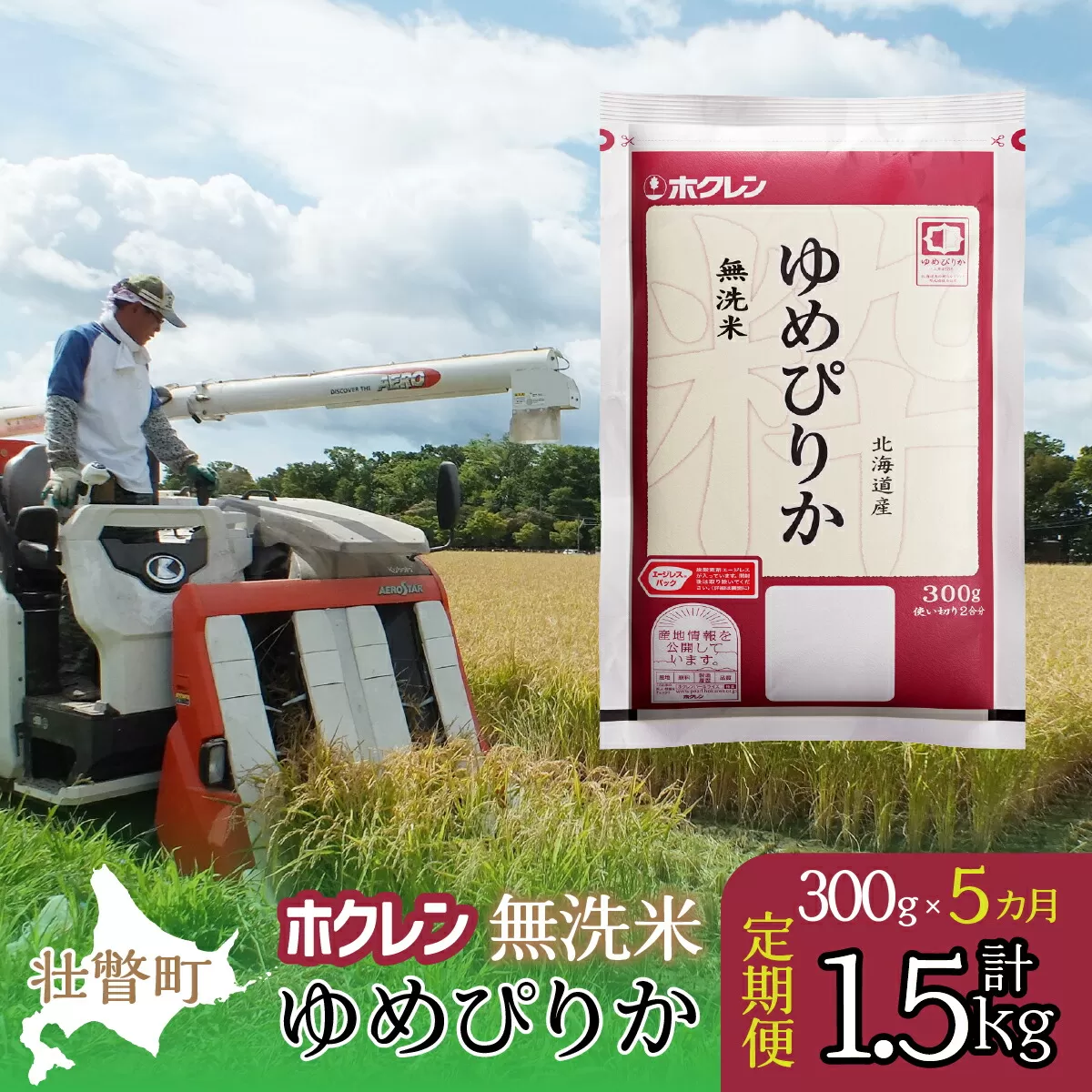 【新米】【令和6年産米】【5ヶ月定期配送】（無洗米300g）ホクレンゆめぴりかSBTD150