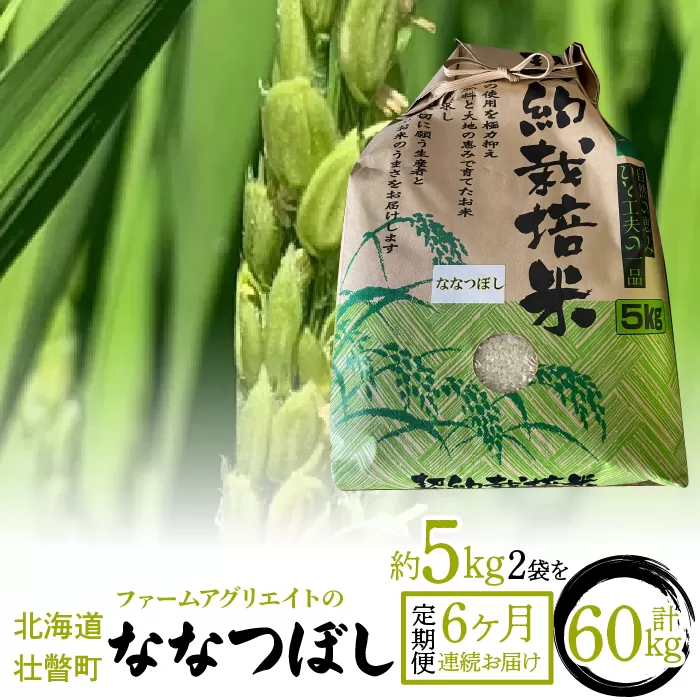 【新米】令和6年産米 ファームアグリエイトのななつぼし　約5kg×2袋を6ヶ月連続お届け SBTB007