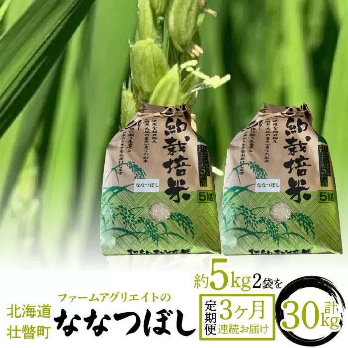 【新米】令和6年産米 ファームアグリエイトのななつぼし　約5kg×2袋を3ヶ月連続お届け SBTB006