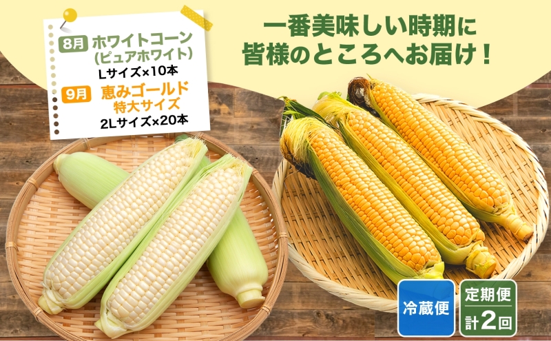 定期便 全2回 北海道産 朝採りとうもろこし 2種 食べ比べ 8月・9月 計2回お届け 恵味 めぐみ ゴールド ピュアホワイト トウモロコシ 旬 夏  野菜 新鮮 産地直送 塩田農園 送料無料 北海道 洞爺湖町｜洞爺湖町｜北海道｜返礼品をさがす｜まいふる by AEON CARD