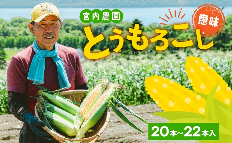 北海道産 とうもろこし 糖度20度以上 恵味 めぐみ 2L 20～22本 7月下旬～8月下旬頃お届け 朝採り トウモロコシ スイート コーン 甘い 旬  夏 野菜 新鮮 産地直送 宮内農園 送料無料 北海道 洞爺湖町｜洞爺湖町｜北海道｜返礼品をさがす｜まいふる by AEON CARD