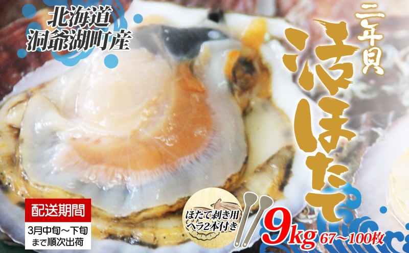 北海道産 活ほたて 2年貝 約 9kg 67枚～100枚 2025年3月中旬～3月下旬頃お届け 殻付き 貝付き 帆立 ホタテ ほたて 貝 魚介 海産  海鮮 貝柱 噴火湾 刺身 焼き フライ 生産者支援 産地直送 送料無料｜洞爺湖町｜北海道｜返礼品をさがす｜まいふる by AEON CARD