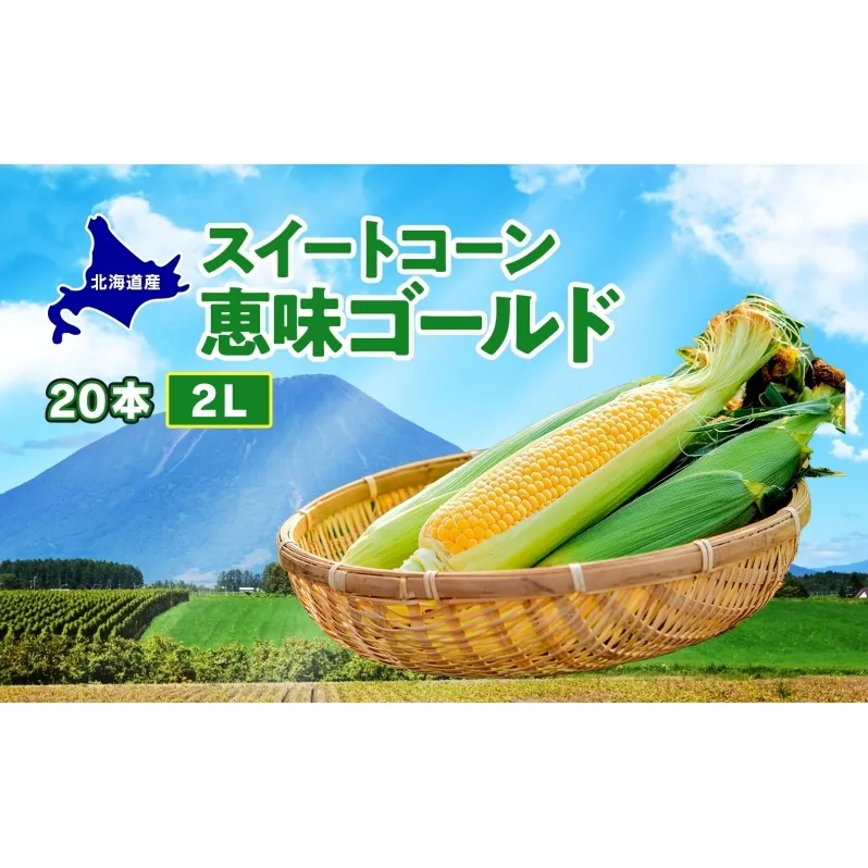  北海道産 スイート コーン めぐみゴールド 2Lサイズ 20本  先行受付 8月上旬～末頃のお届け とうもろこし 恵味 めぐみ トウモロコシ 旬 完熟 朝もぎ 野菜 産地直送 お取り寄せ 北海道 丸田農園 送料無料 洞爺湖