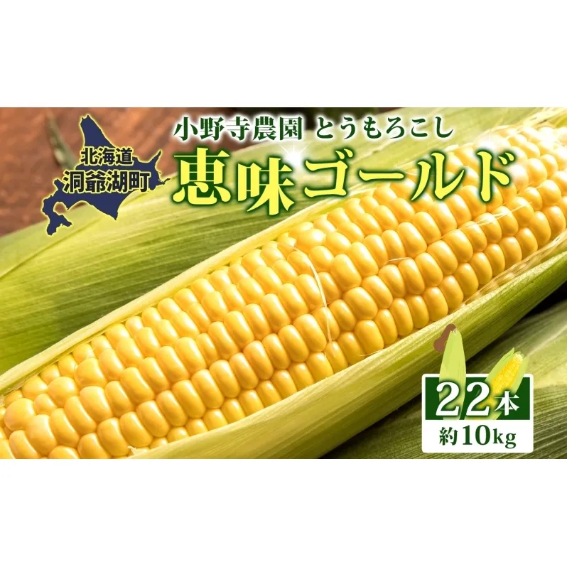 北海道 とうもろこし 恵味ゴールド 約10kg 22本入り 2025年8月11日～31日頃お届け トウモロコシ コーン 甘い 産地直送 BBQ とうきび 国産 人気 バーベキュー 焼きとうもろこし お取り寄せ 北海道産 洞爺湖町 