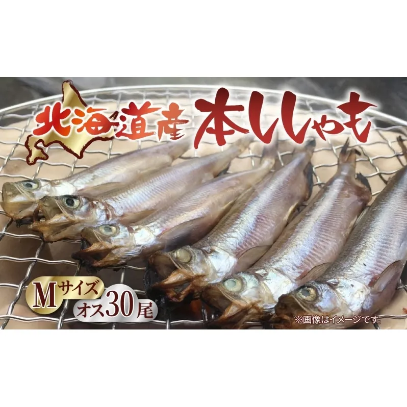 北海道産 阿部水産 ししゃも M 30尾セット 本ししゃも 雄 オス 魚卵 卵 北海道土産 季節限定 ほくほく 子魚 無添加 クール便 冷凍 送料無料 北海道 日高町