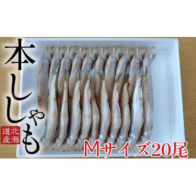 北海道産ししゃもM20尾セット